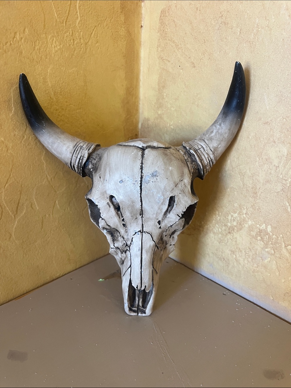 Decorative Faux Bull Skull Wall Art - Cream and Black